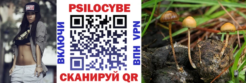 KRAKEN как войти  Кимры  Галлюциногенные грибы Cubensis 